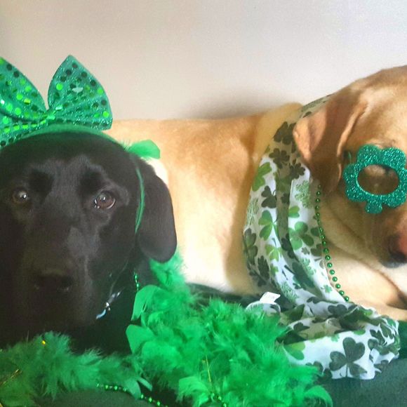 Meet your Posher, Teresajim - Picture 1 of 1